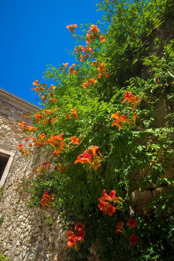 Apartman Ana Skradin Dış mekan fotoğraf